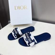 Christian Dior Slippers